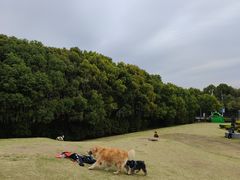 -美兰湖景区