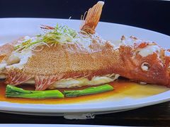 -顺峰(农展馆店)