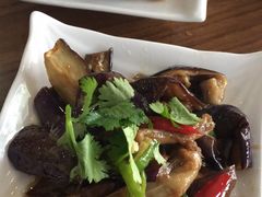 -鸿毛饺子(紫竹桥店)