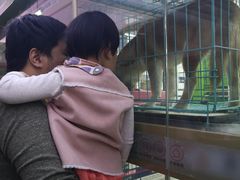 -远洋未来广场(育慧北路店)