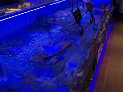 -渔民船说·北塘海鲜·天津菜·海肠捞饭(北塘古镇店)
