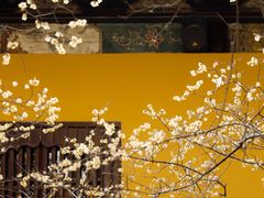 -西园戒幢律寺