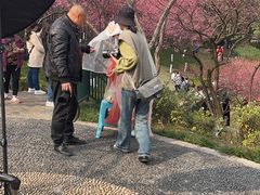 -重庆彩云湖湿地公园