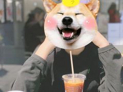 -Seesaw Coffee(上生新所店)