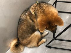 -NOTBAD 须时·咖啡馆