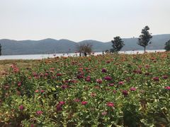 -洈水景区