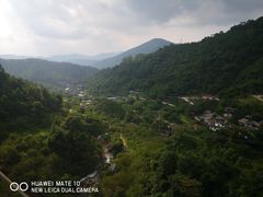 -长隆农庄