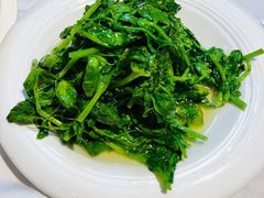豌豆尖-峨嵋酒家总店(车公庄店)