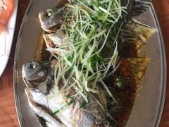 -大湾区中央湿地公园
