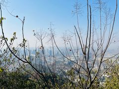 -杭州半山国家森林公园