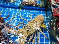 -霞涌市场海鲜摆卖区