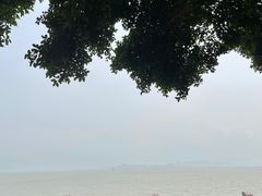 -深圳湾公园(南山区)