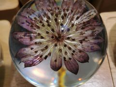 -谷莠子花艺·气球派对·绿植造景·花艺沙龙(金光华广场店)