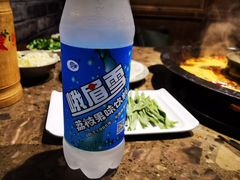 峨眉雪-重庆渝达老火锅(春熙路店)