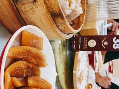 -绿园春早茶