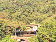 -百里鲜(羚羊峡古栈道森林公园店)