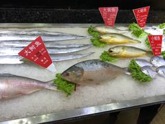 -宝燕壹号(徐汇店)