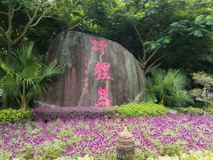 -野狸岛