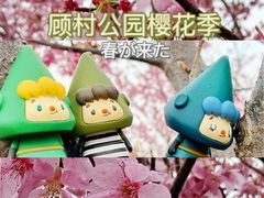 -顾村公园