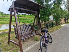 -合肥滨湖国家森林公园