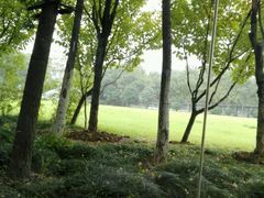 -山水雅居·江南雅宴(运河公园店)
