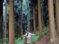 -钟鼎寺