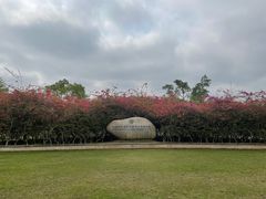 -中国科学院西双版纳热带植物园