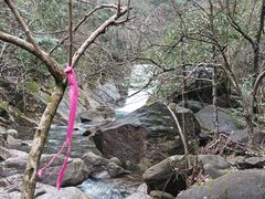 -白云源风景区