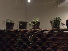 -花迹(富春江东街店)