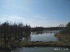 景点-上海海湾国家森林公园