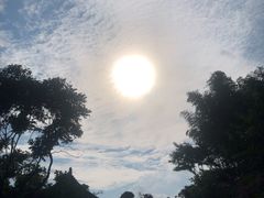 -心无尘茶餐馆(径山村店)