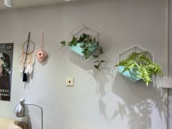 -Aso Artist Beauty美甲美睫
