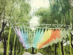 -滕州微山湖红荷湿地景区