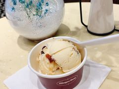 -哈根达斯(石家庄北国店)