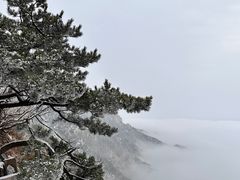 -泰山风景名胜区