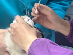 -中农国际动物医院24小时·猫科·骨科·急重症中心