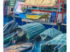 -北海金海湾红树林生态旅游区
