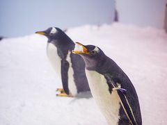 -正佳极地海洋世界