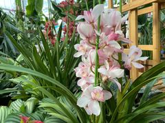 -国家植物园南园