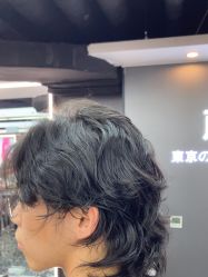 -藤野造型烫染优质