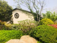 -极料理(普罗理想国店)