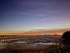 -宝安西湾红树林湿地公园