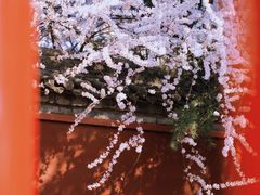 -西安市广仁寺