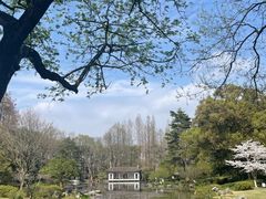 -杭州植物园