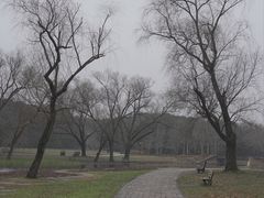 -上海共青森林公园