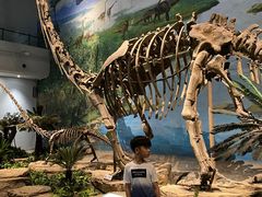 -自贡恐龙博物馆