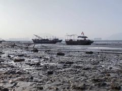 -北岐滩涂