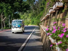 -仙岳公园