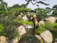 -罗红摄影艺术馆