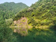 -桐庐窄溪野鱼馆